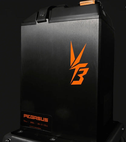 Ventus Ultra Bee Battery 96V 56AH